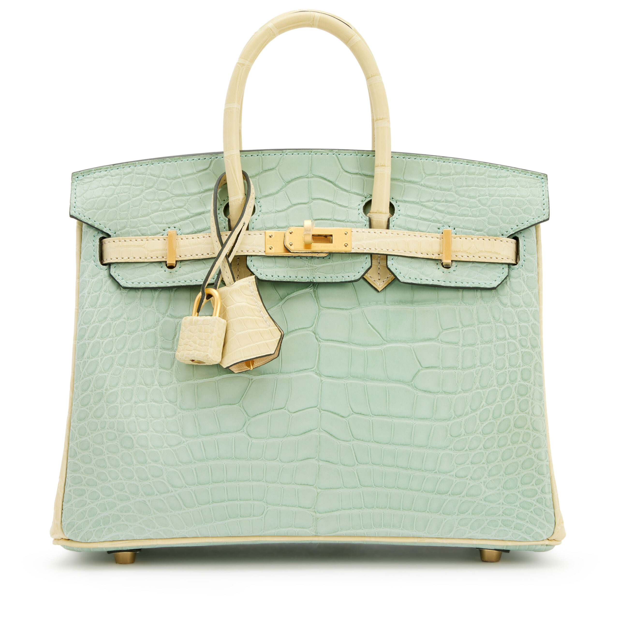 Vert-D'eau and Vanille Matte Alligator HSS Birkin 25 Brushed Gold Hardware